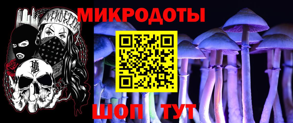 Галлюциногенные грибы мицелий  Вход с VPN  Протвино 